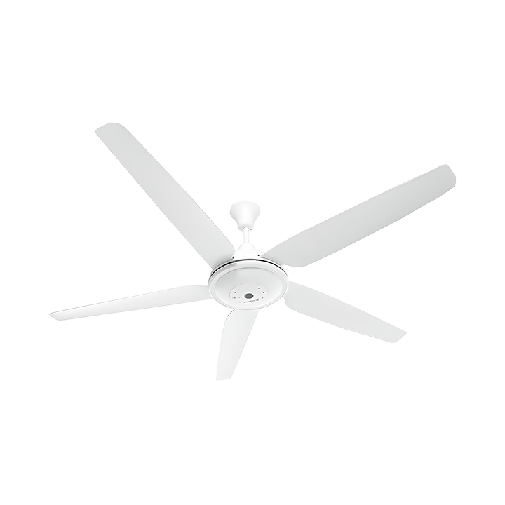 Quạt trần KANGAROO KGSF056051, 5 cánh 140 cm, cs 56W,  ĐK,