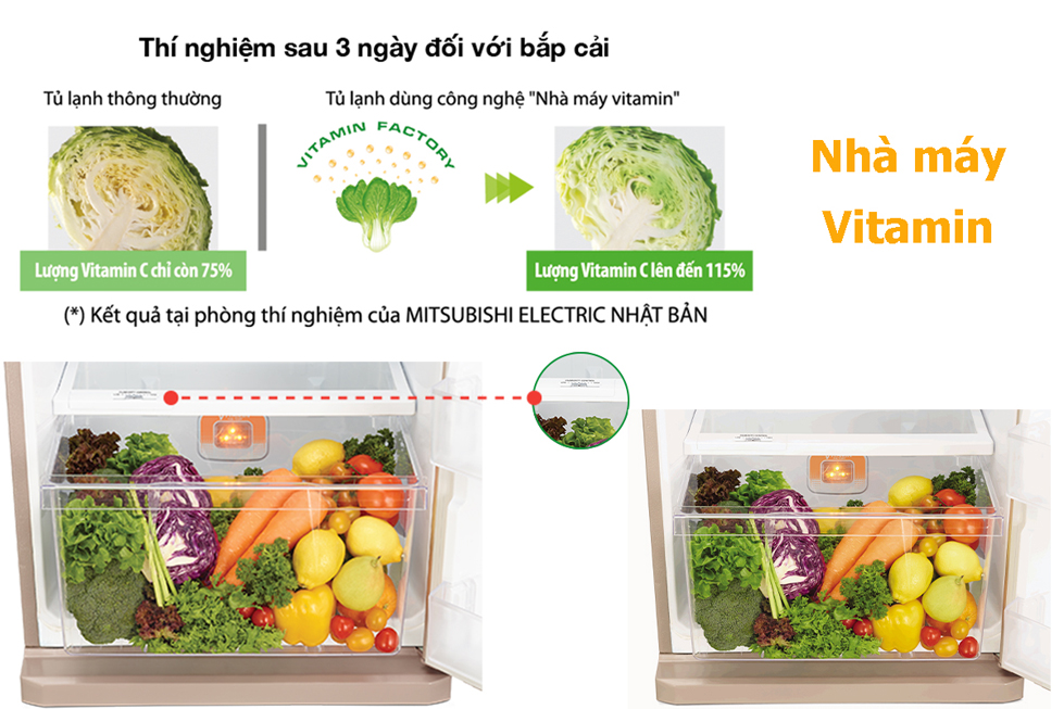 tu lanh mitsubishi nha may vitamin 2