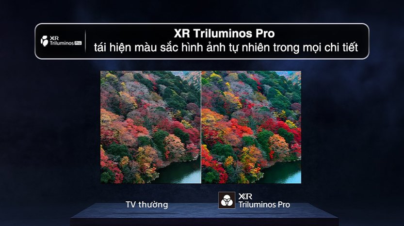 xr triluminos pro tivi sony 4k 65 inch oled